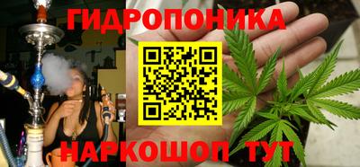 дживик Лесосибирск